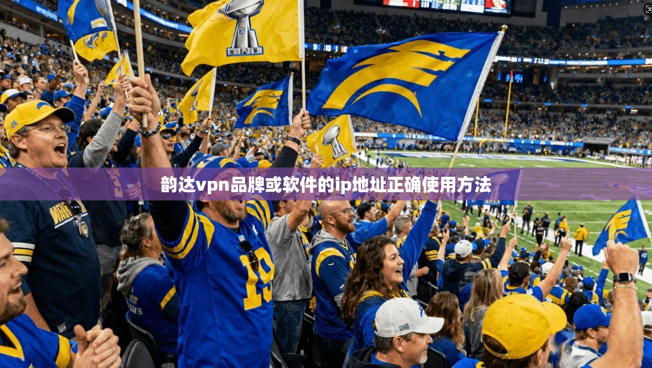 韵达vpn品牌或软件的ip地址正确使用方法  第1张