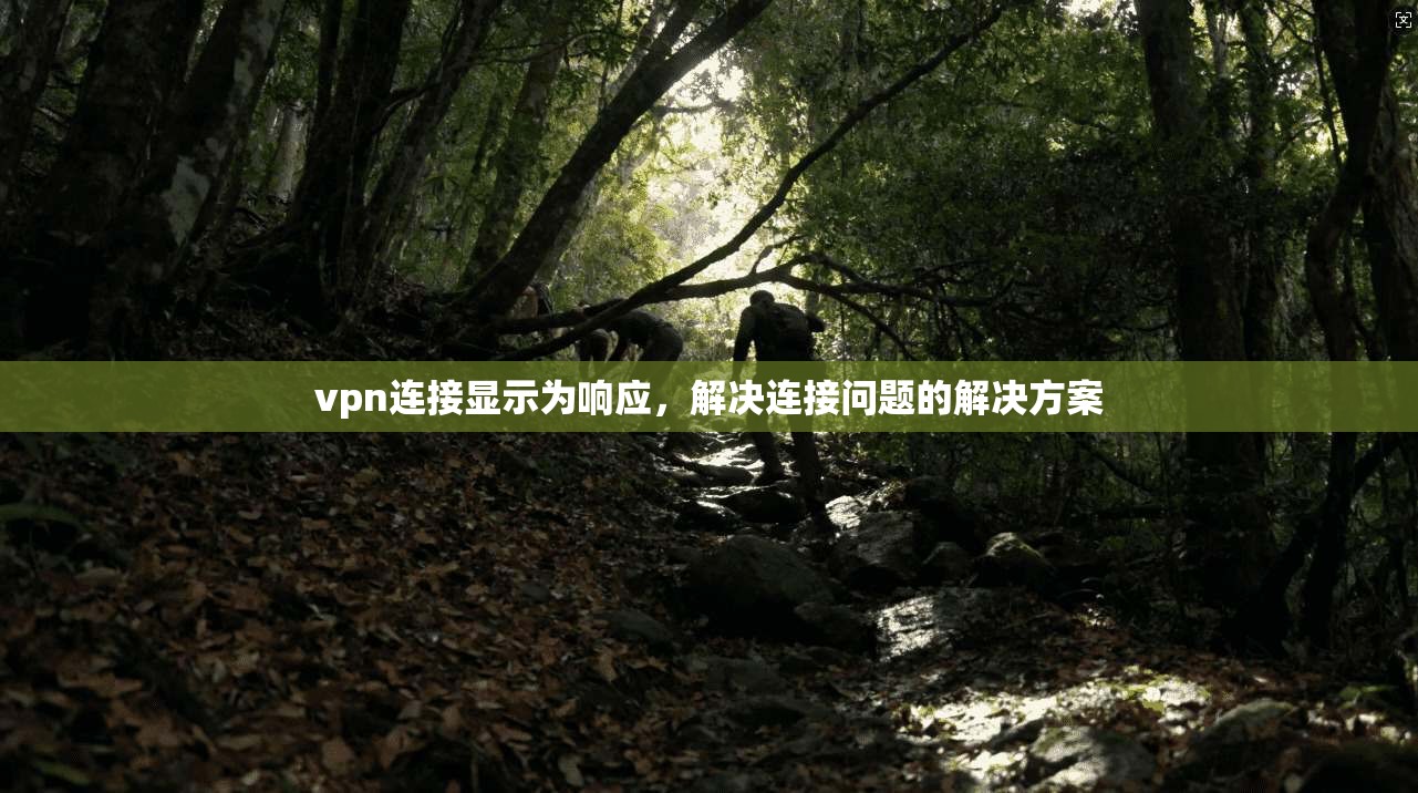 vpn连接显示为响应，解决连接问题的解决方案