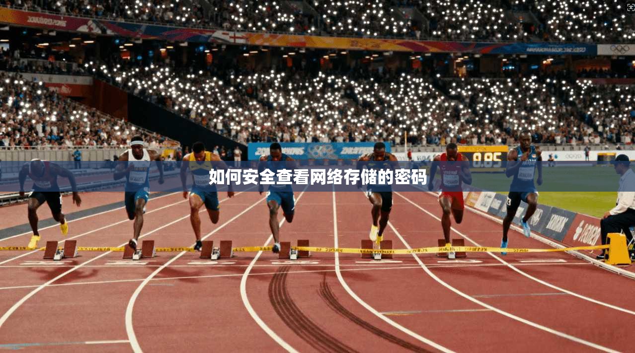 如何安全查看网络存储的密码