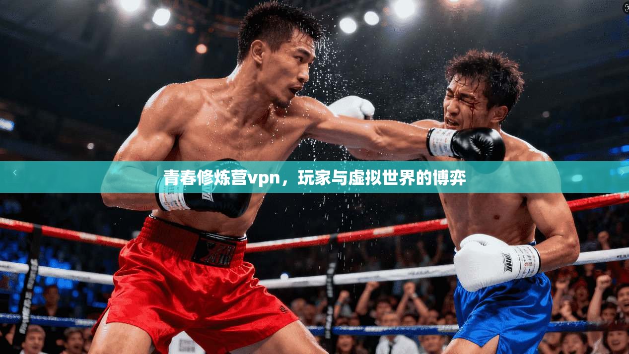 青春修炼营vpn，玩家与虚拟世界的博弈
