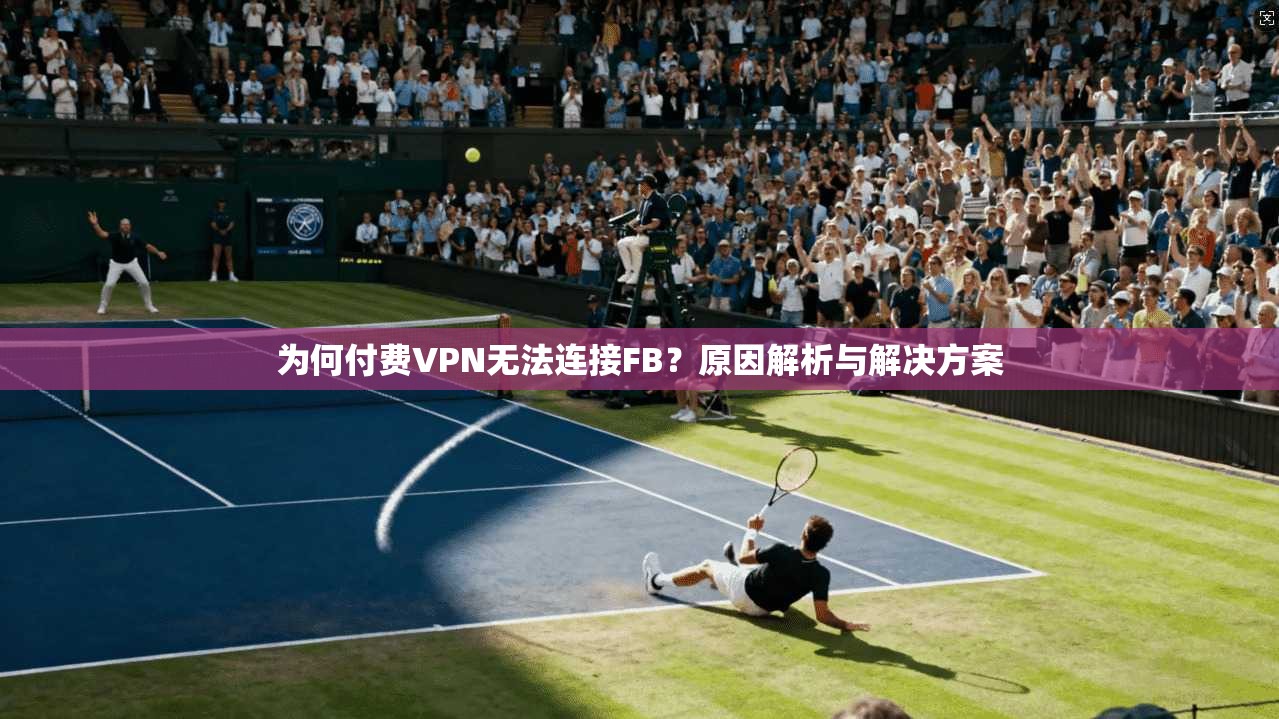 为何付费VPN无法连接FB？原因解析与解决方案
