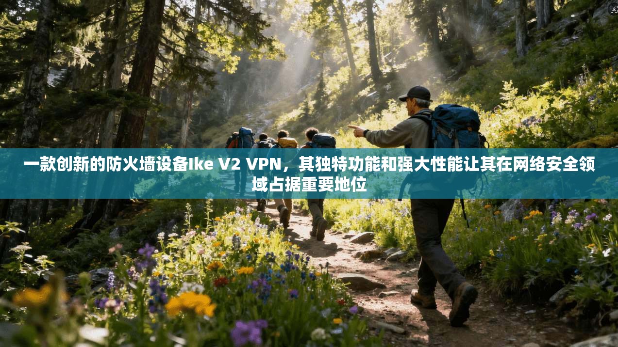 一款创新的防火墙设备Ike V2 VPN，其独特功能和强大性能让其在网络安全领域占据重要地位