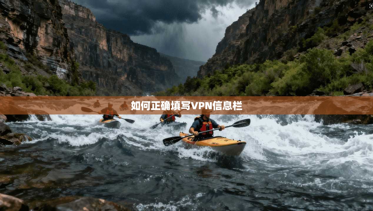 如何正确填写VPN信息栏
