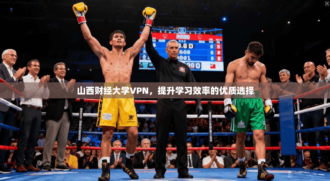 山西财经大学VPN，提升学习效率的优质选择