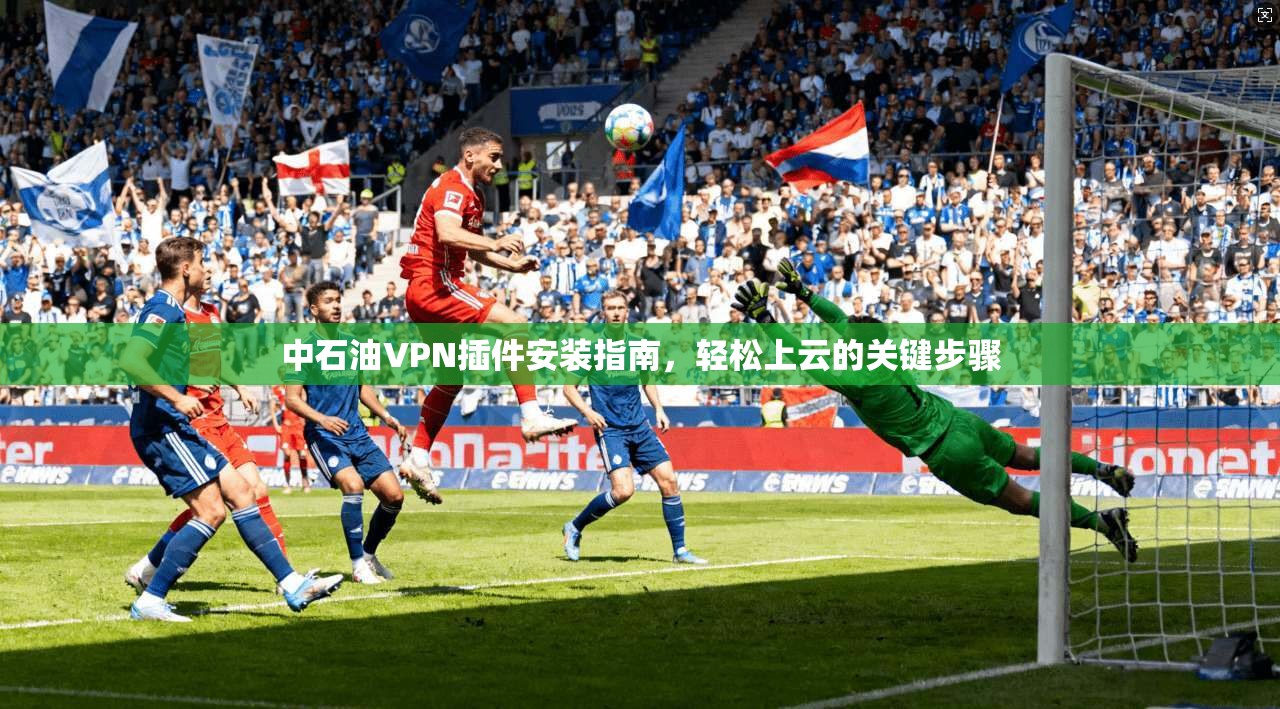 中石油VPN插件安装指南,轻松上云的关键步骤