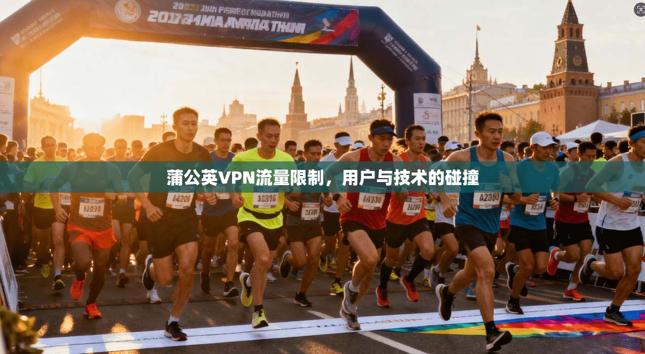蒲公英VPN流量限制，用户与技术的碰撞