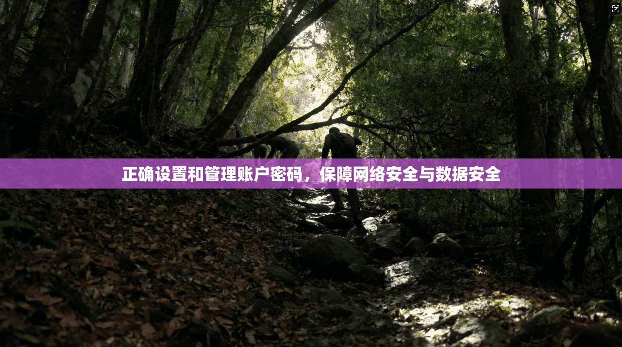 正确设置和管理账户密码，保障网络安全与数据安全