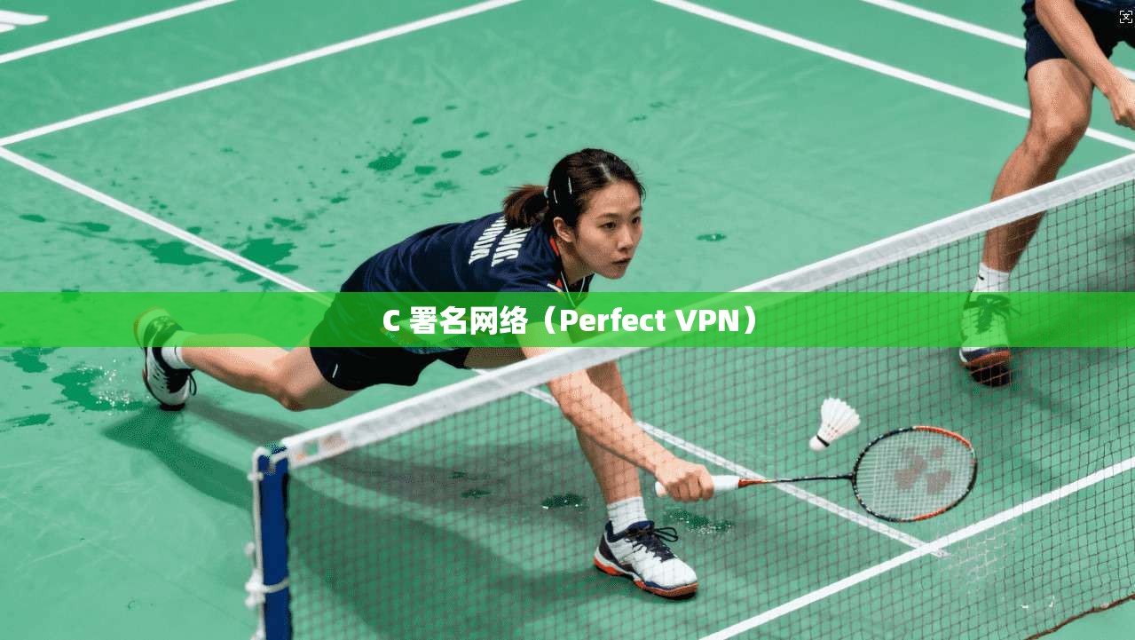 C 署名网络(Perfect VPN)