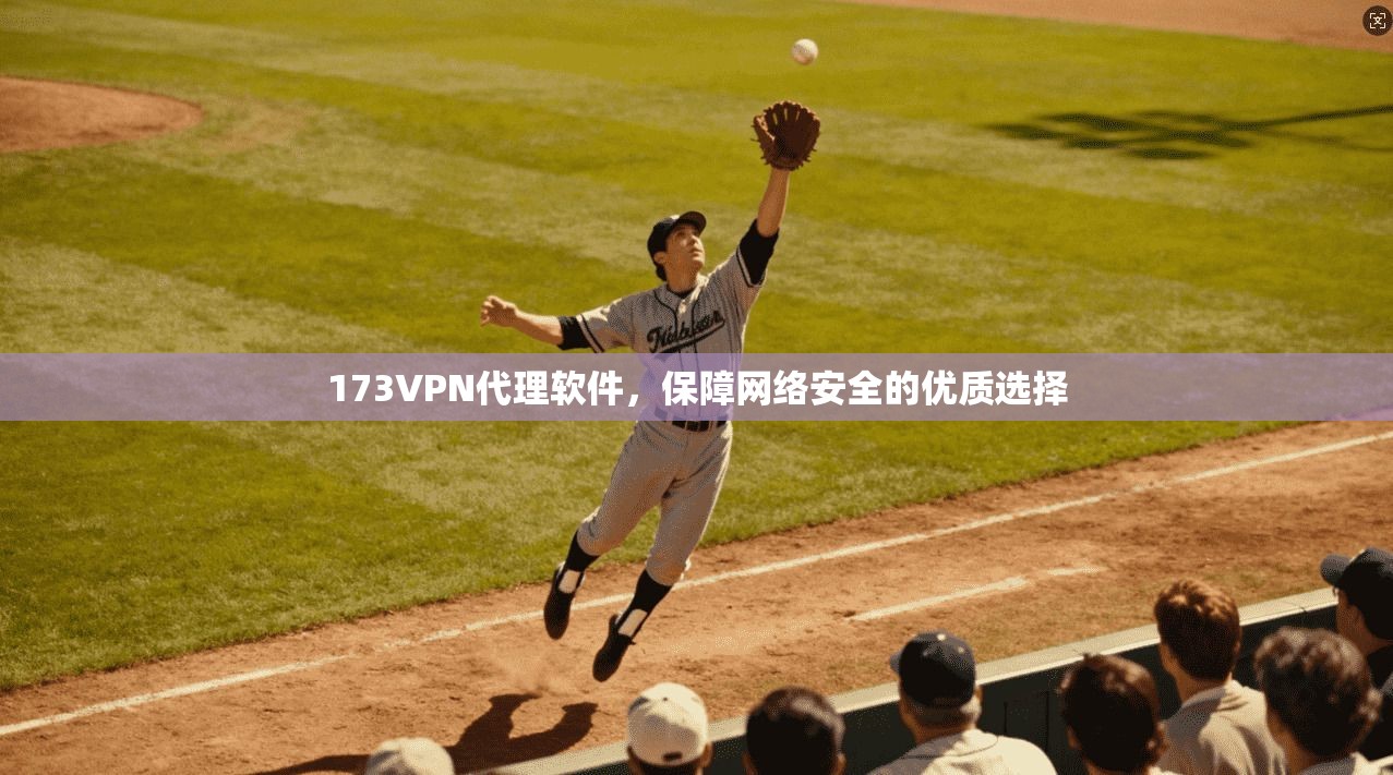 173VPN代理软件，保障网络安全的优质选择