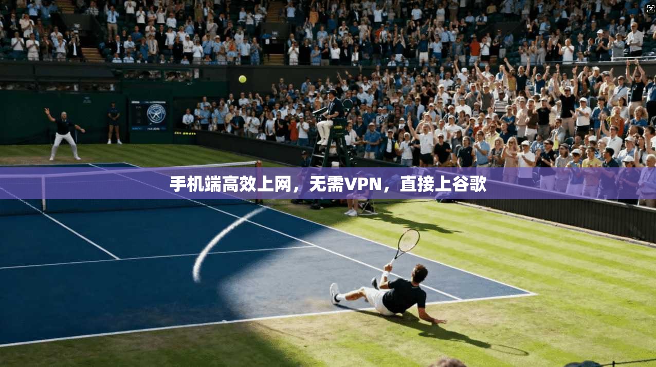 手机端高效上网，无需VPN，直接上谷歌
