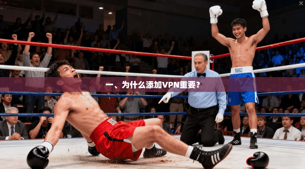一、为什么添加VPN重要？