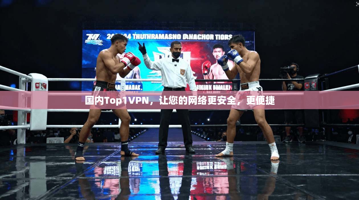 国内Top1VPN，让您的网络更安全，更便捷