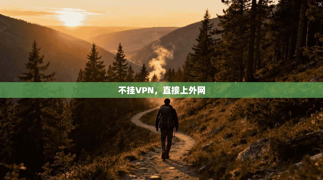 不挂VPN，直接上外网