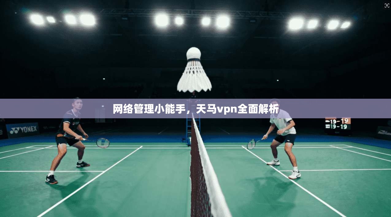 网络管理小能手，天马vpn全面解析