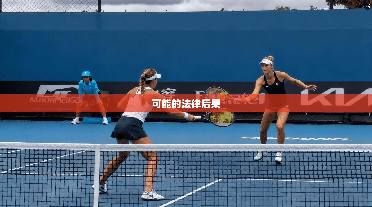 可能的法律后果
