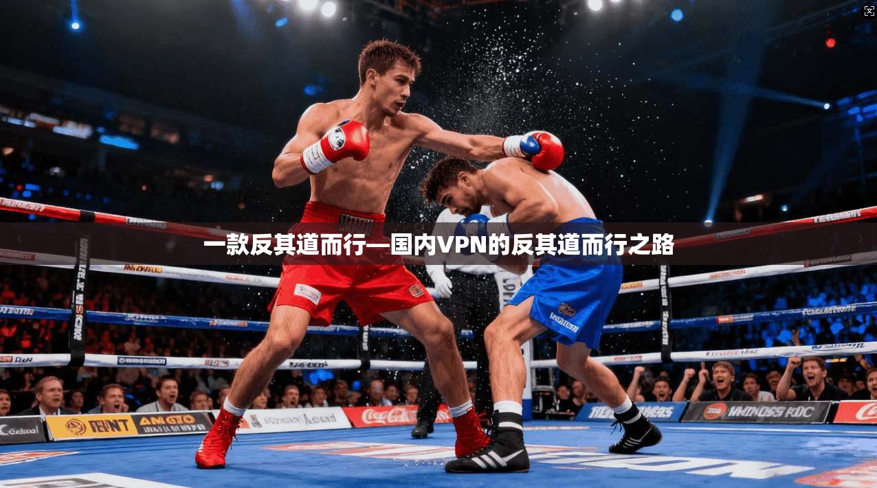 一款反其道而行—国内VPN的反其道而行之路
