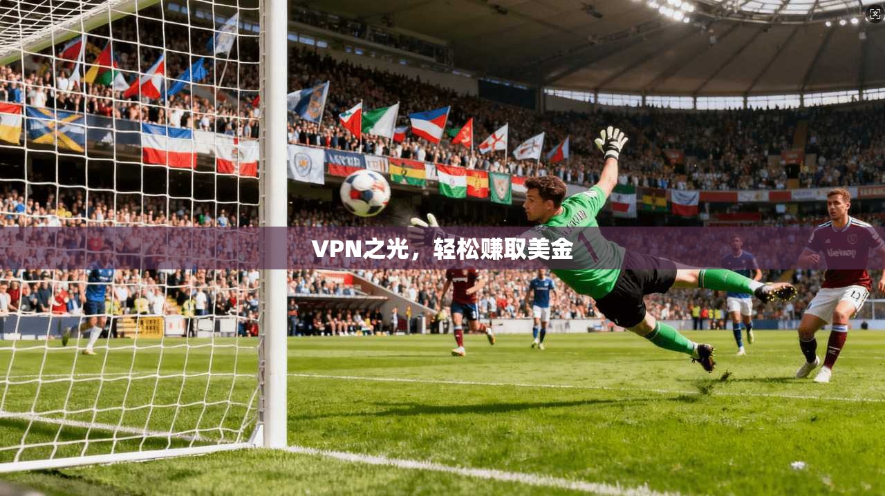 VPN之光，轻松赚取美金