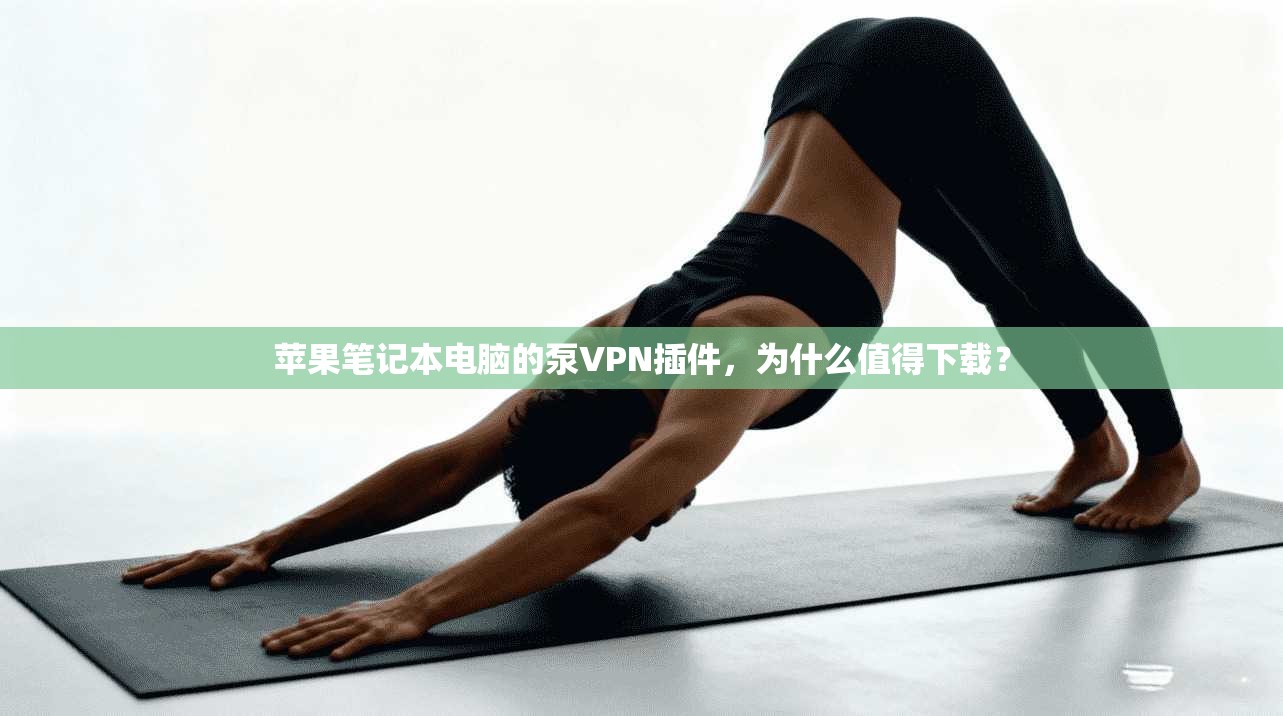 苹果笔记本电脑的泵VPN插件，为什么值得下载？