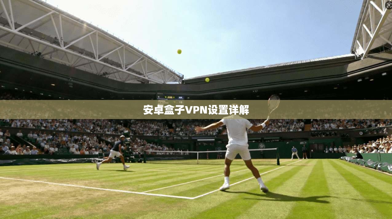 安卓盒子VPN设置详解