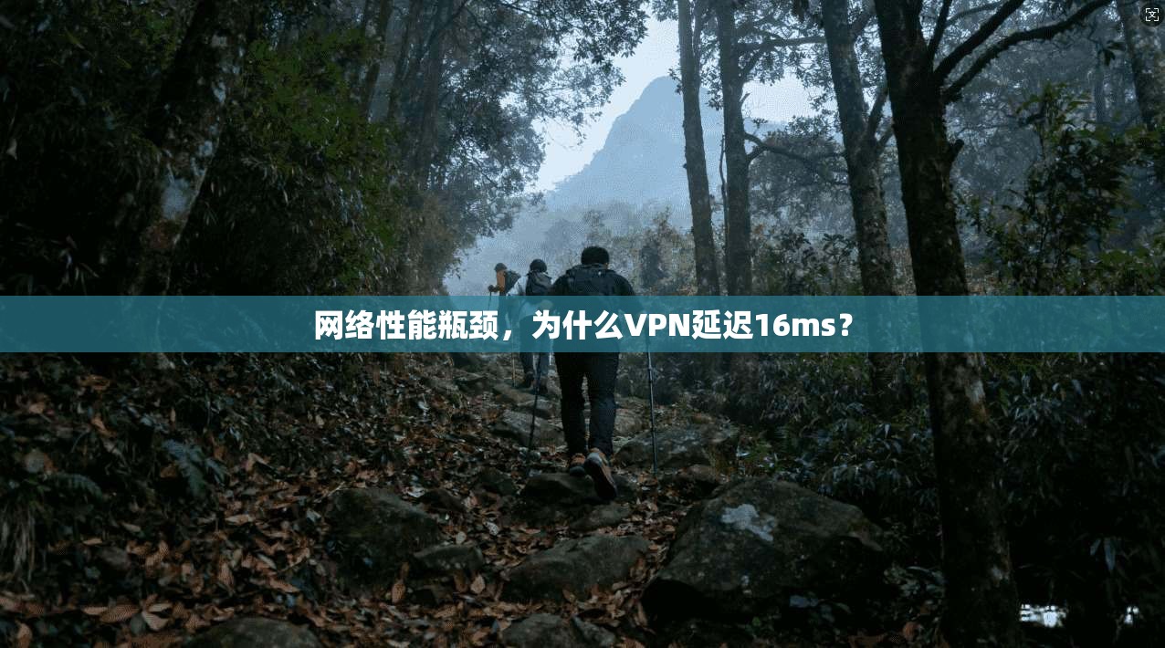 网络性能瓶颈,为什么VPN延迟16ms?