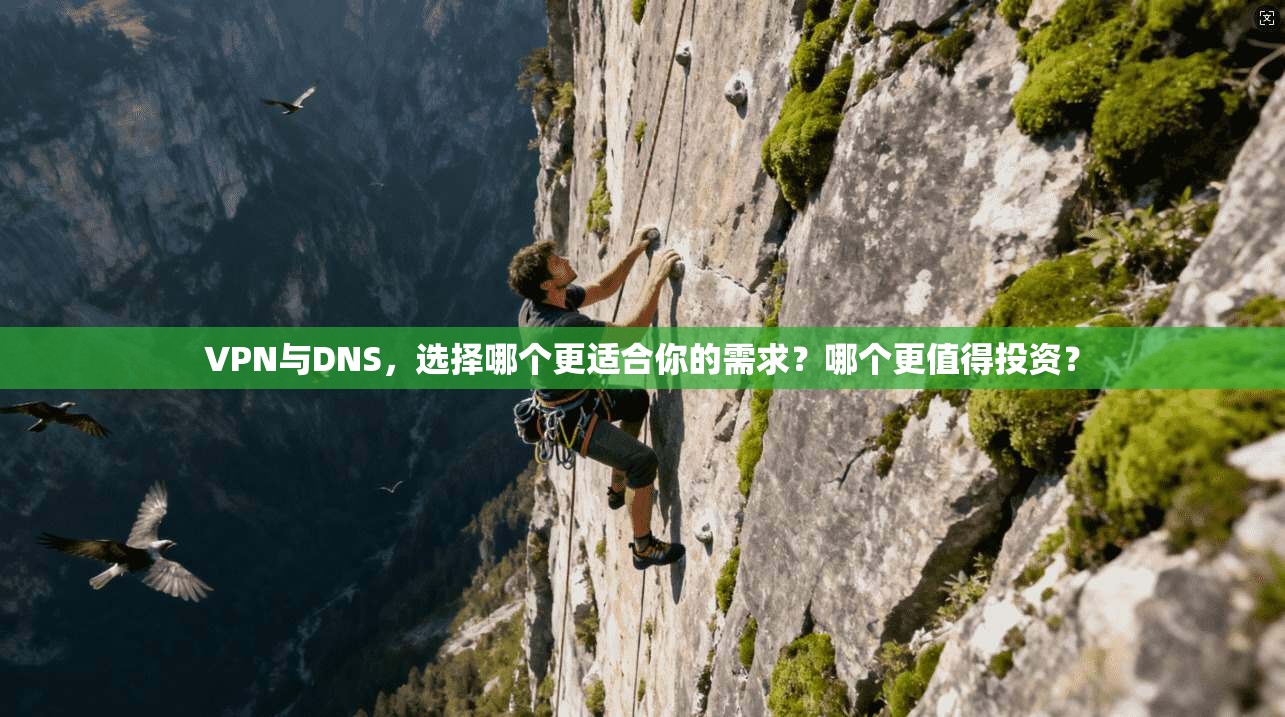 VPN与DNS,选择哪个更适合你的需求?哪个更值得投资? 第1张 VPN与DNS,选择哪个更适合你的需求?哪个更值得投资? 第1张
