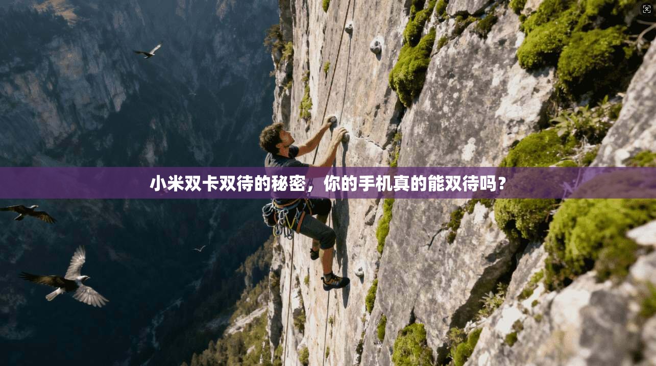 小米双卡双待的秘密,你的手机真的能双待吗? 第1张 小米双卡双待的秘密,你的手机真的能双待吗? 第1张