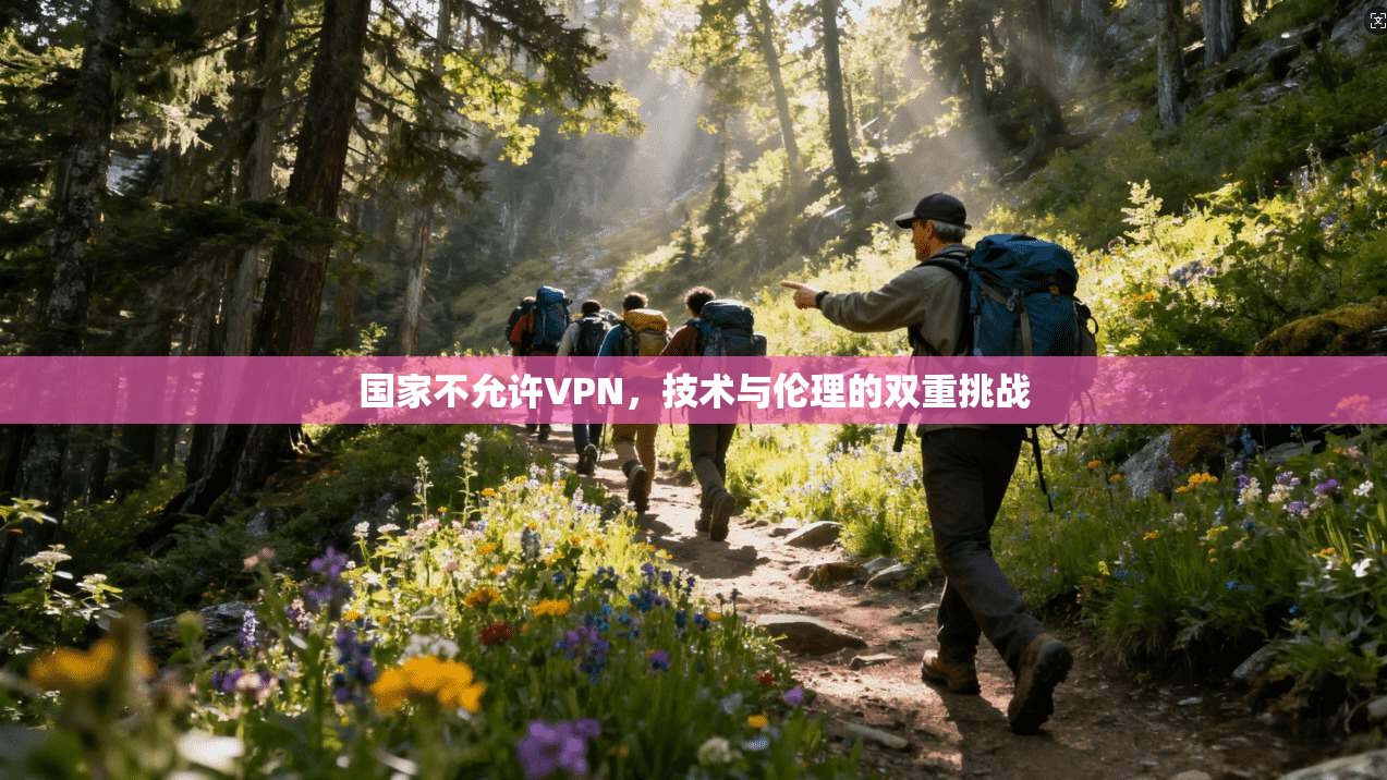 国家不允许VPN,技术与伦理的双重挑战 第1张 国家不允许VPN,技术与伦理的双重挑战 第1张