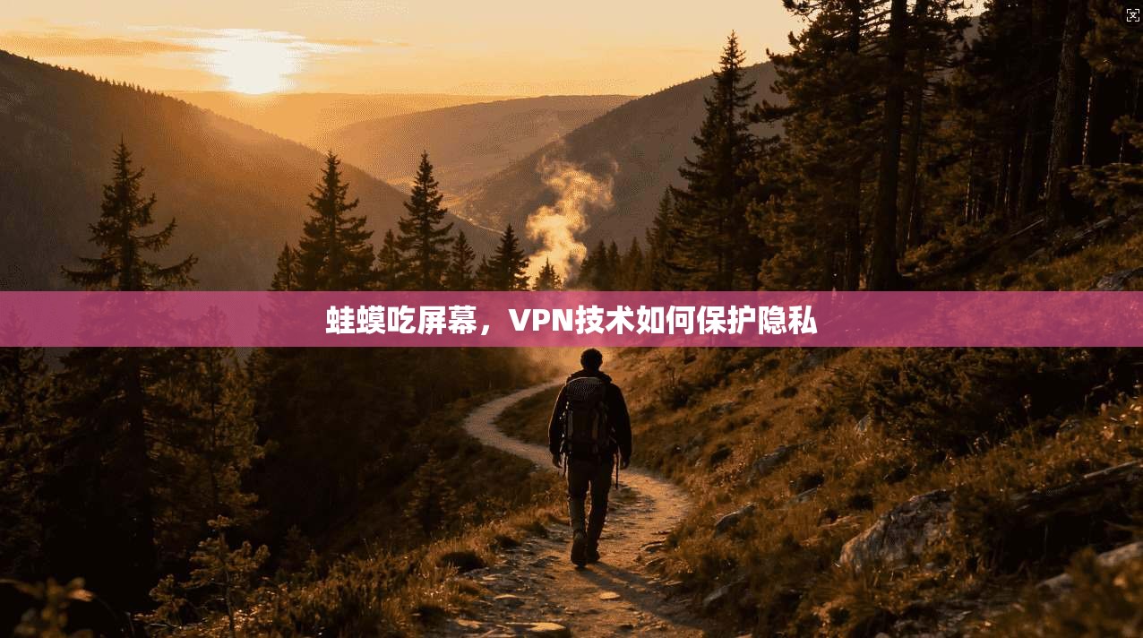 蛙蟆吃屏幕,VPN技术如何保护隐私