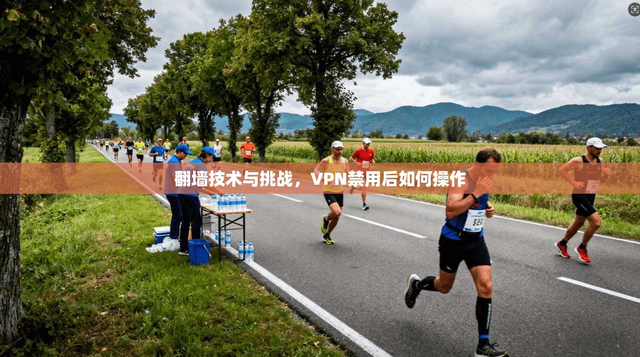 翻墙技术与挑战，VPN禁用后如何操作  第1张
