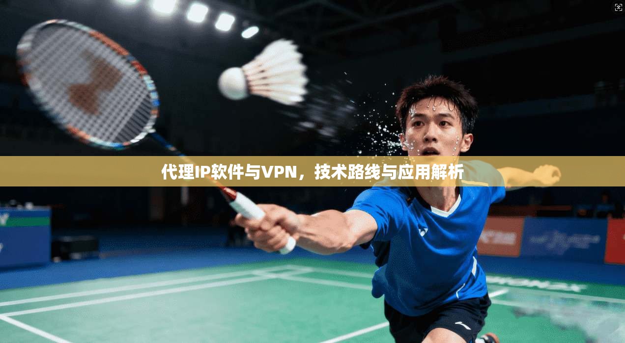 代理IP软件与VPN，技术路线与应用解析  第1张