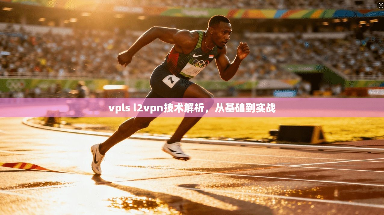 vpls l2vpn技术解析,从基础到实战 第1张 vpls l2vpn技术解析,从基础到实战 第1张