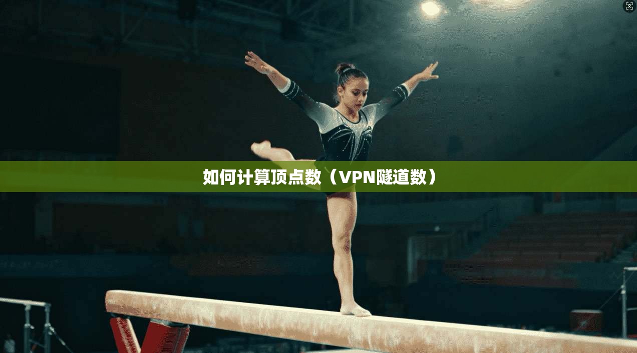 如何计算顶点数(VPN隧道数)