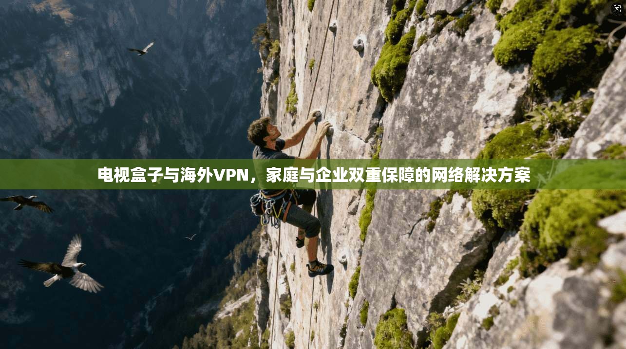 电视盒子与海外VPN,家庭与企业双重保障的网络解决方案 第1张 电视盒子与海外VPN,家庭与企业双重保障的网络解决方案 第1张