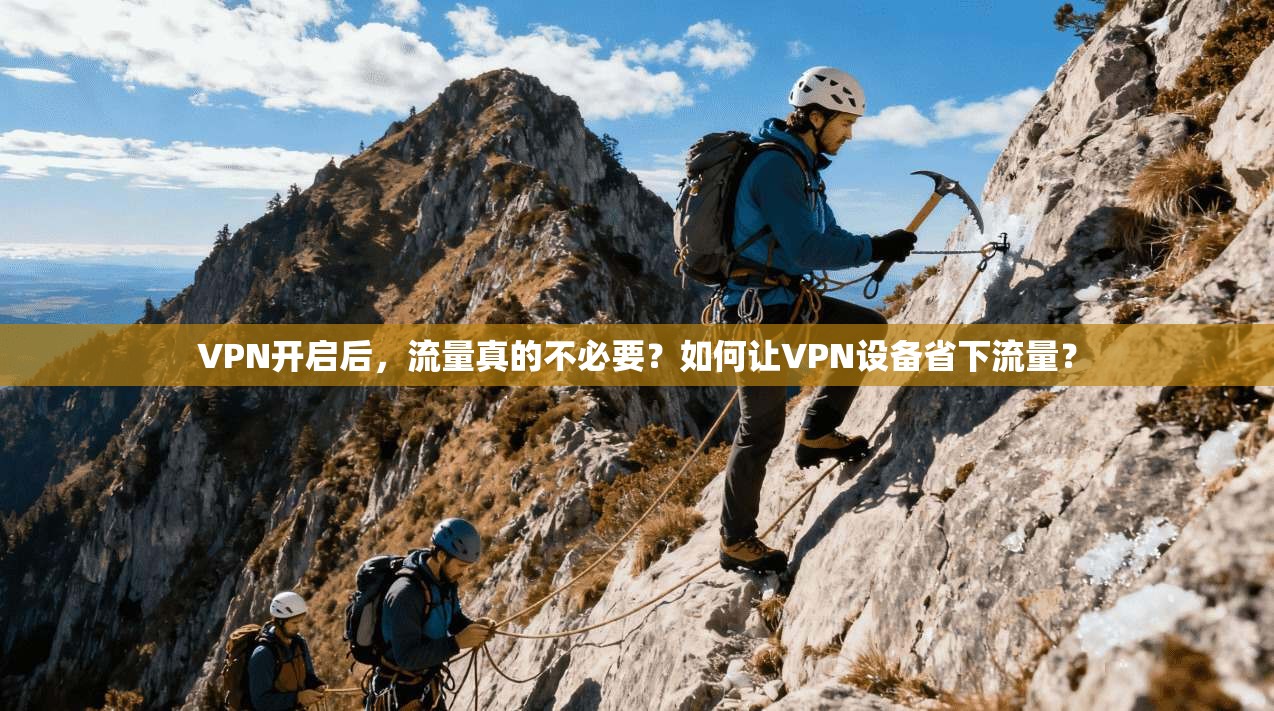 VPN开启后，流量真的不必要？如何让VPN设备省下流量？  第1张