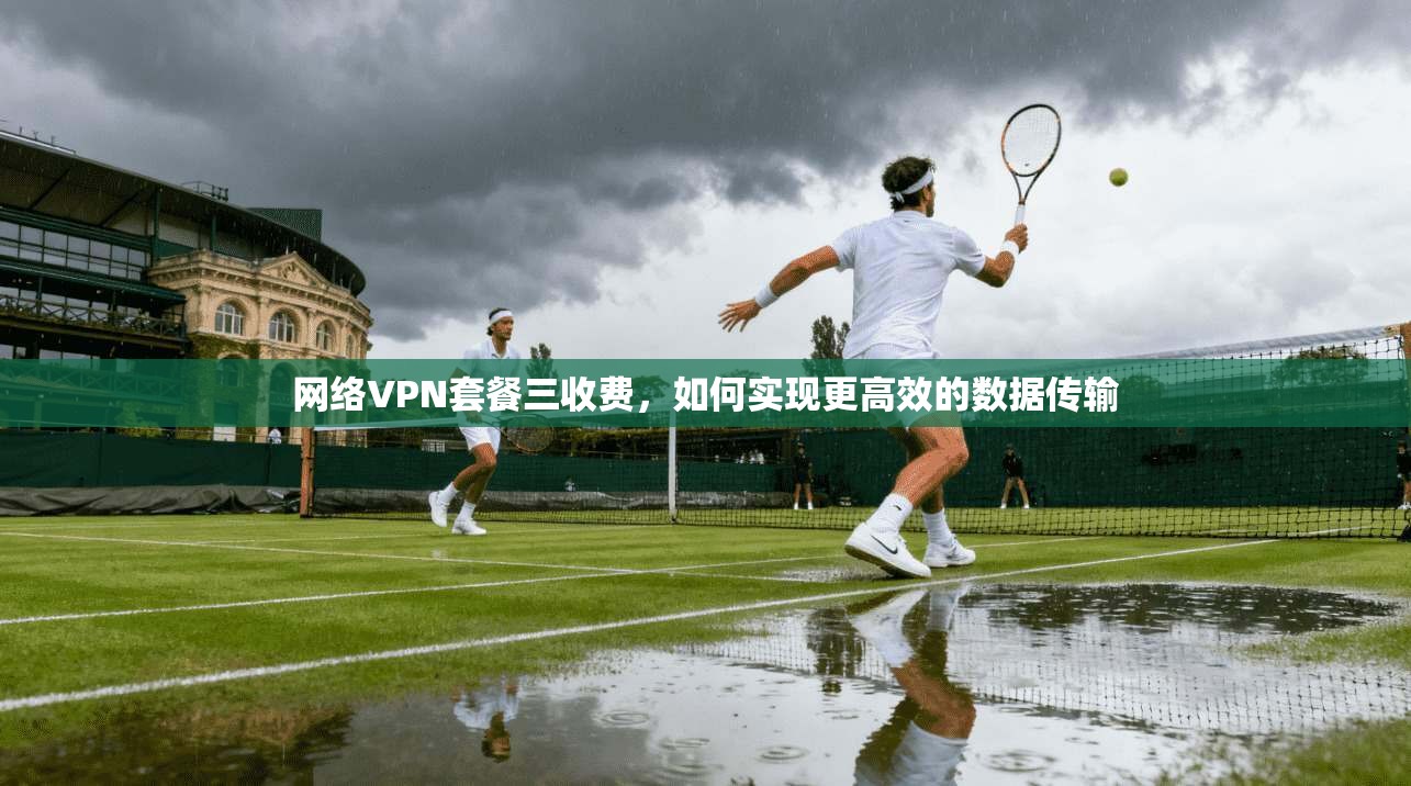 网络VPN套餐三收费,如何实现更高效的数据传输 第1张 网络VPN套餐三收费,如何实现更高效的数据传输 第1张