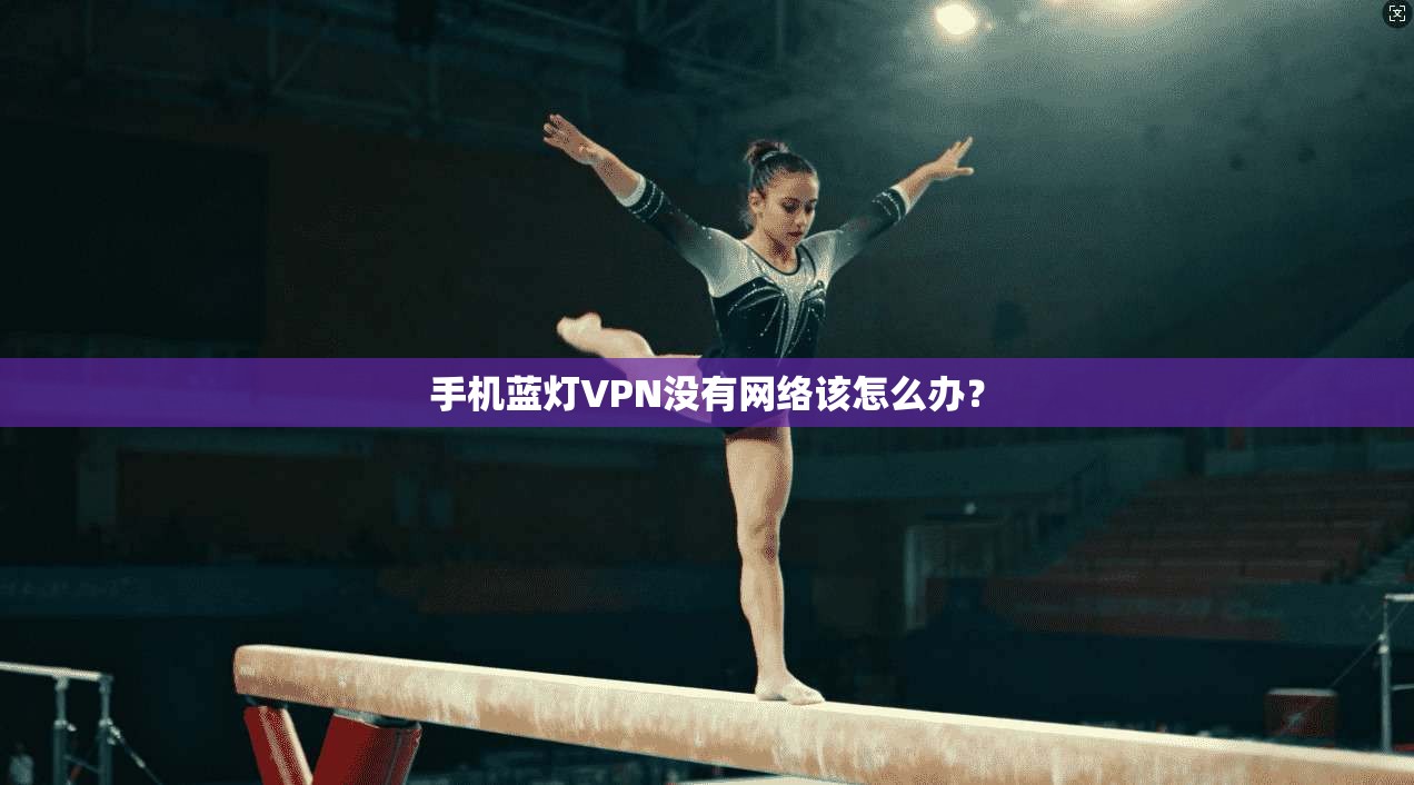 手机蓝灯VPN没有网络该怎么办? 第1张 手机蓝灯VPN没有网络该怎么办? 第1张