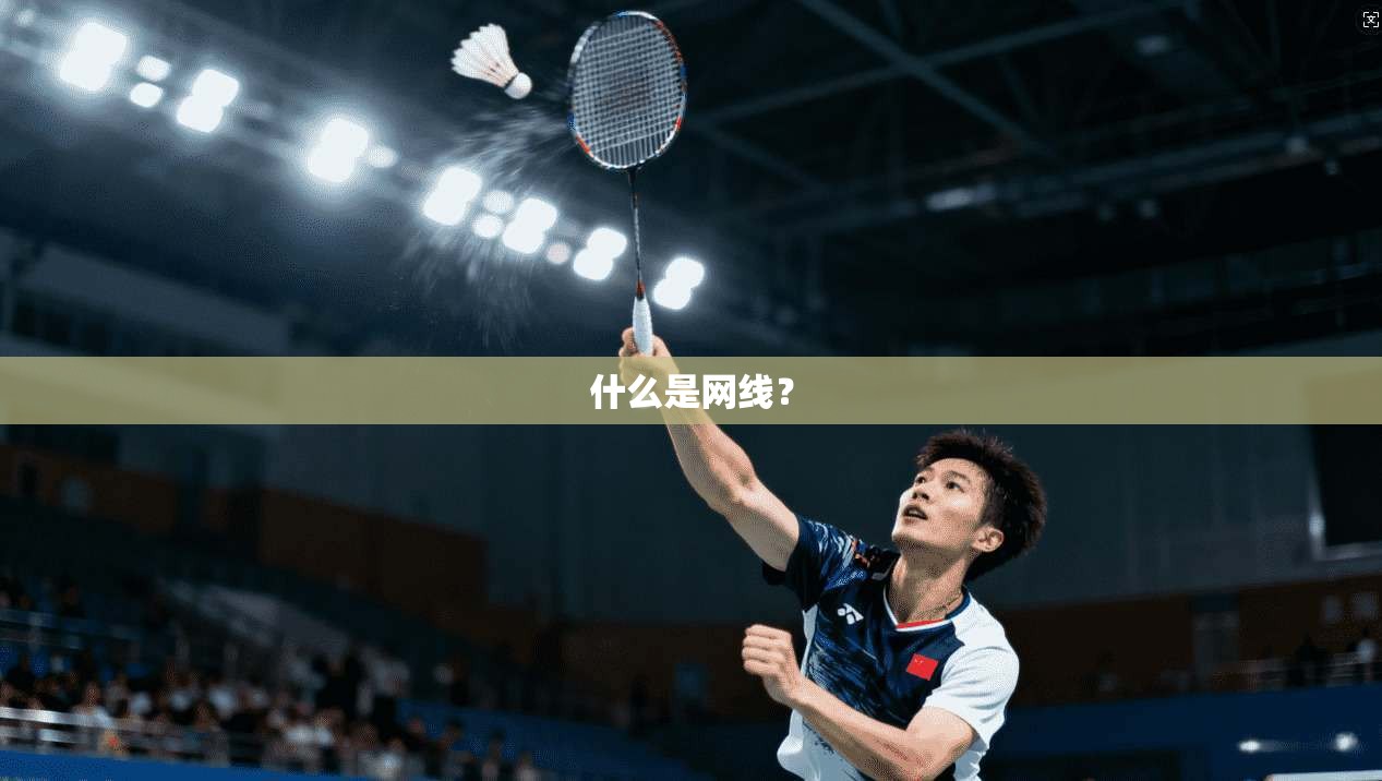 什么是网线? 第1张 什么是网线? 第1张