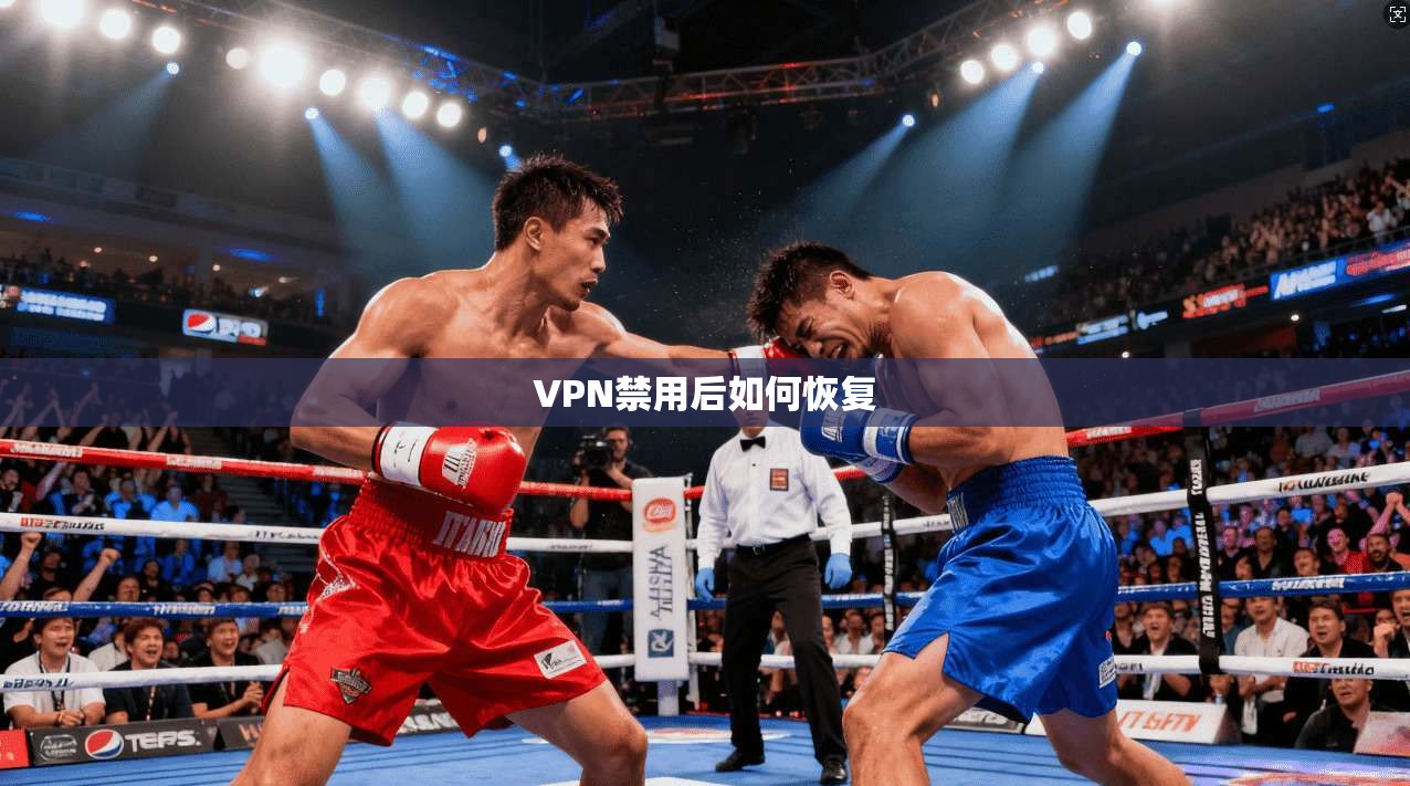 VPN禁用后如何恢复 第1张 VPN禁用后如何恢复 第1张