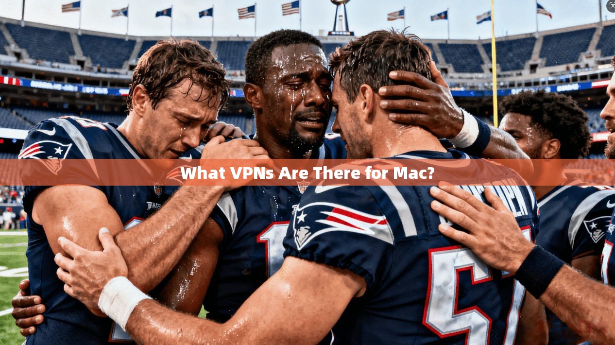 What VPNs Are There for Mac? 第1张 What VPNs Are There for Mac? 第1张