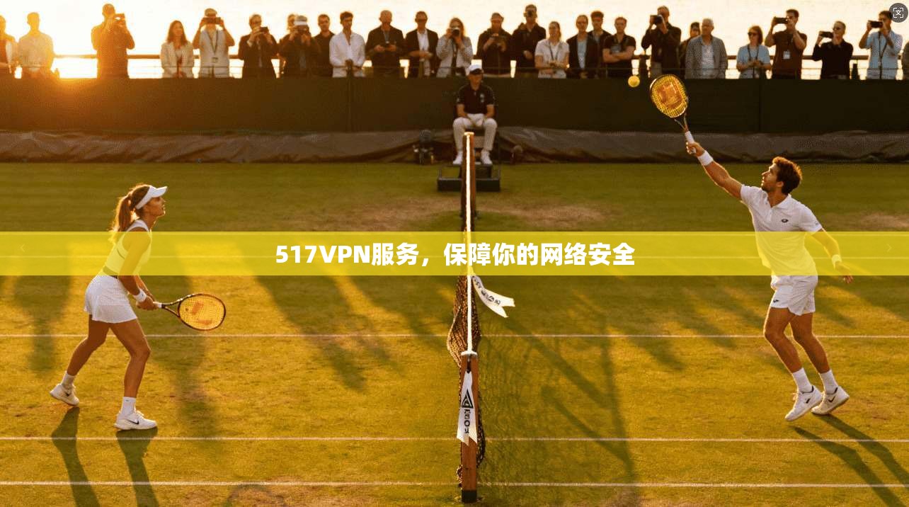 517VPN服务，保障你的网络安全  第1张