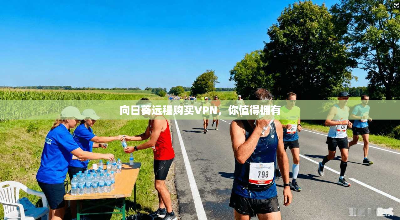 向日葵远程购买VPN,你值得拥有