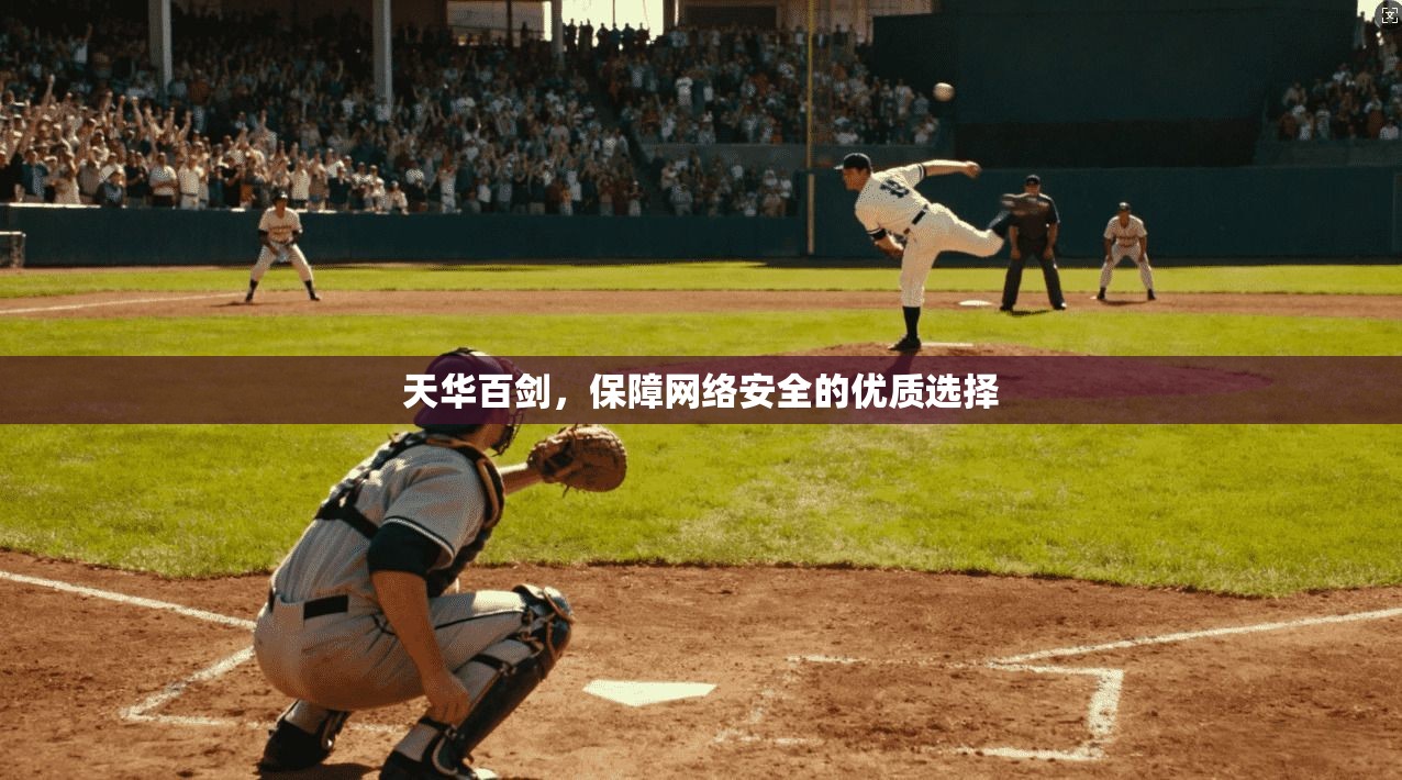 天华百剑,保障网络安全的优质选择 第1张 天华百剑,保障网络安全的优质选择 第1张