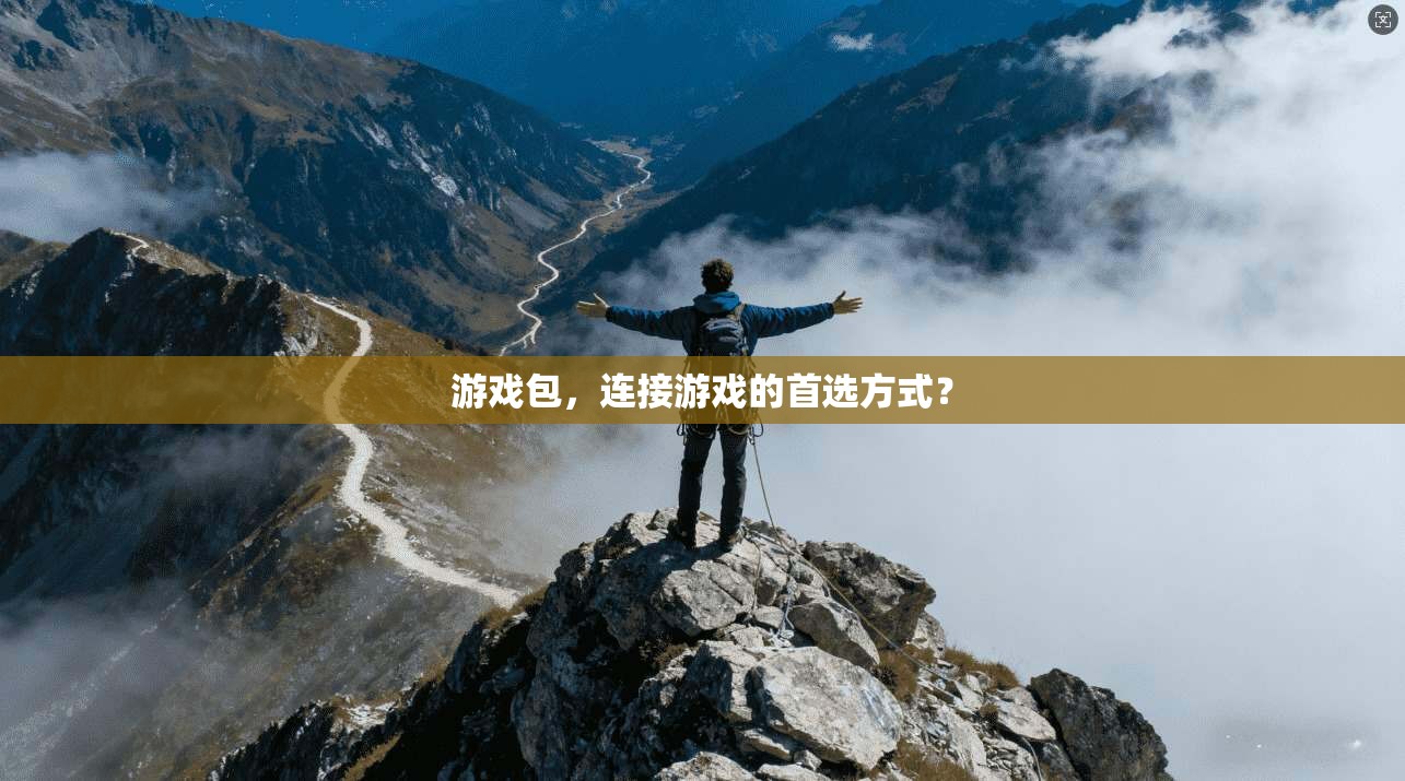 游戏包,连接游戏的首选方式? 第1张 游戏包,连接游戏的首选方式? 第1张