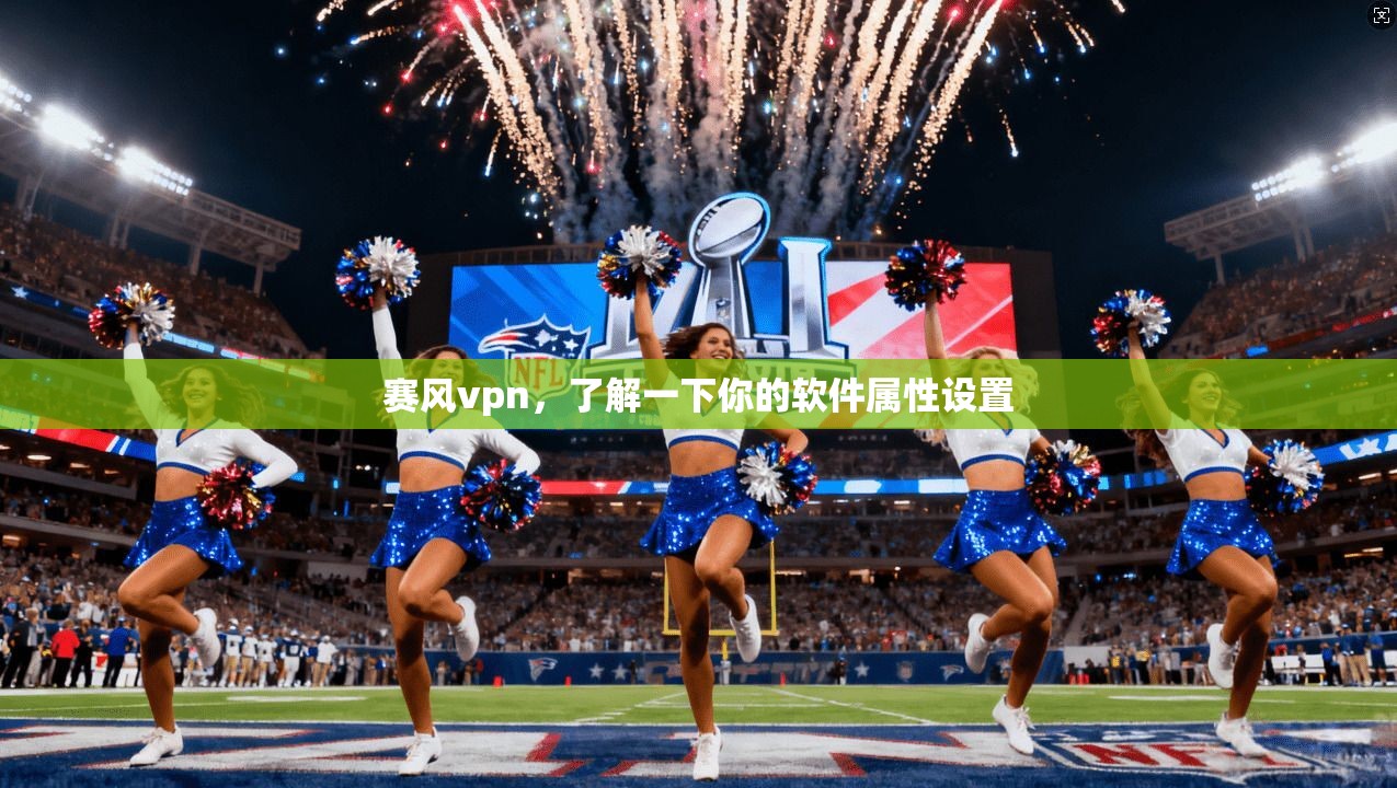 赛风vpn,了解一下你的软件属性设置