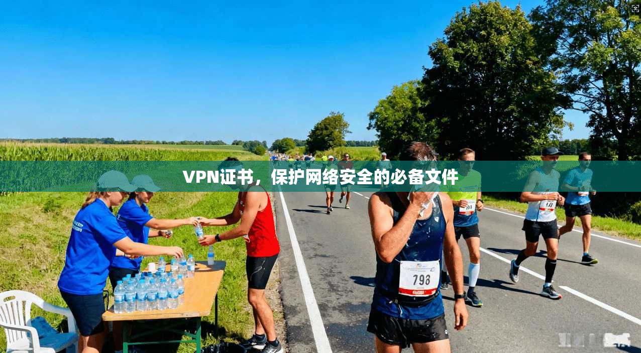 VPN证书,保护网络安全的必备文件