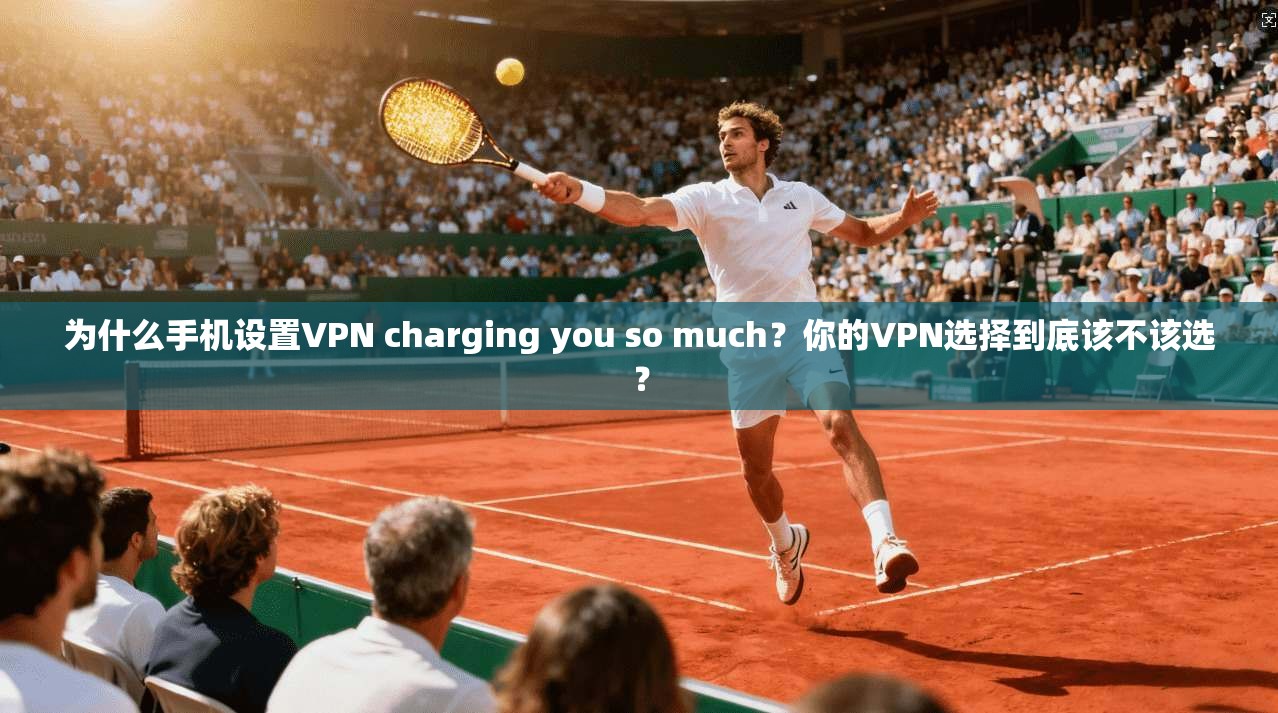 为什么手机设置VPN charging you so much?你的VPN选择到底该不该选? 第1张 为什么手机设置VPN charging you so much?你的VPN选择到底该不该选? 第1张