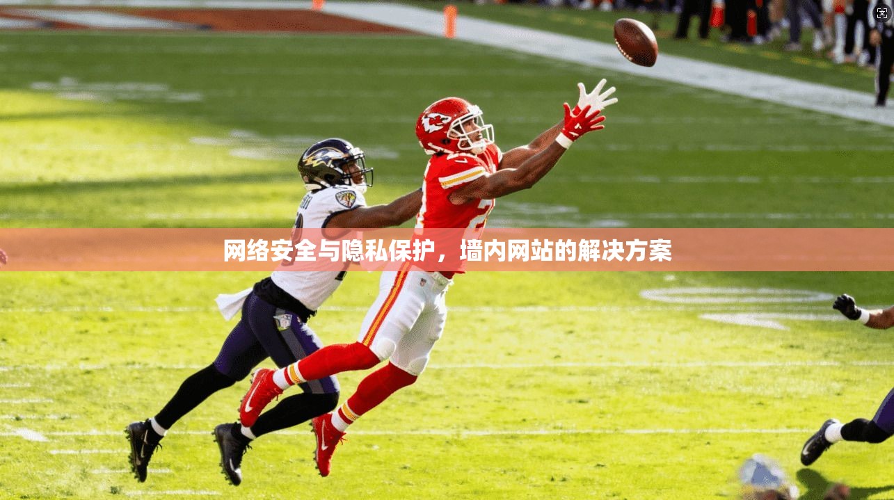 网络安全与隐私保护,墙内网站的解决方案