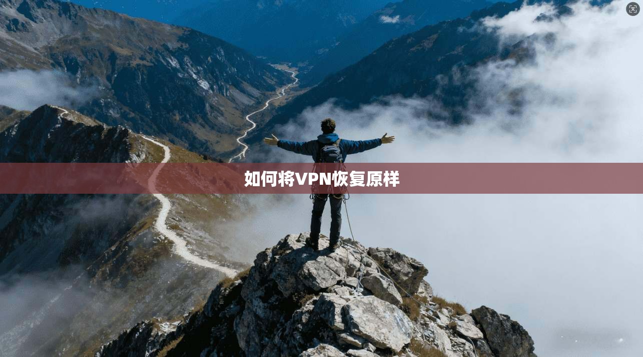 如何将VPN恢复原样 第1张 如何将VPN恢复原样 第1张