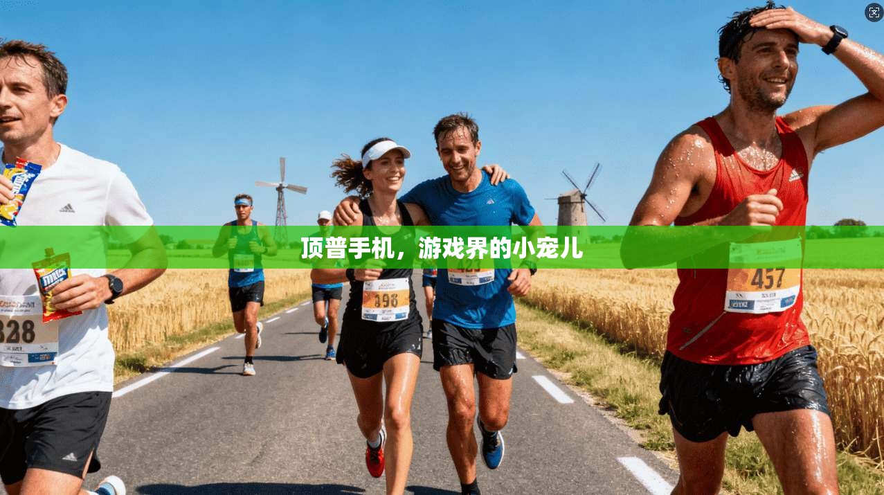 顶普手机,游戏界的小宠儿 第1张 顶普手机,游戏界的小宠儿 第1张