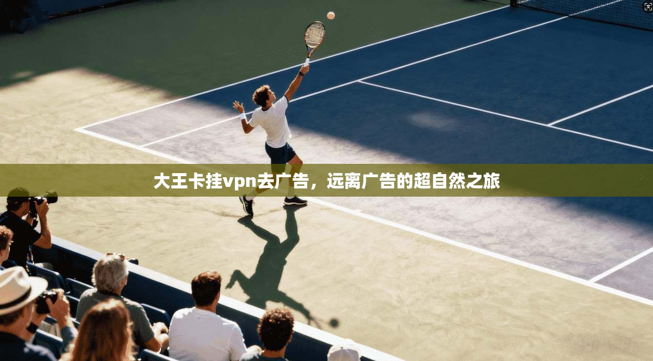大王卡挂vpn去广告,远离广告的超自然之旅